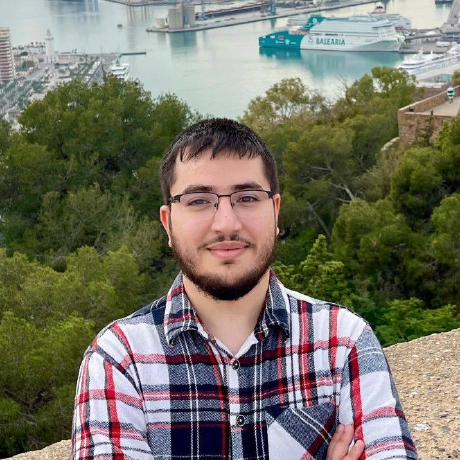 Ahmet Asaad Hammoud - Software Engineer